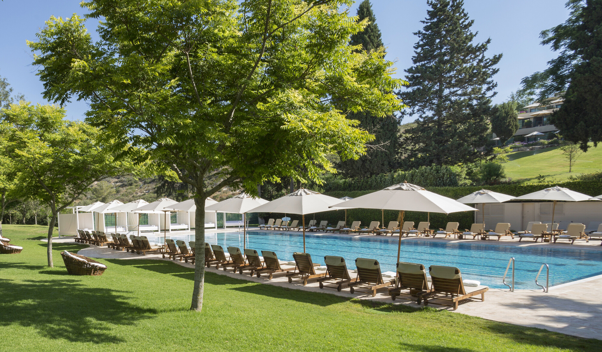 יערות הכרמל: חופשה מפנקת בלב היער